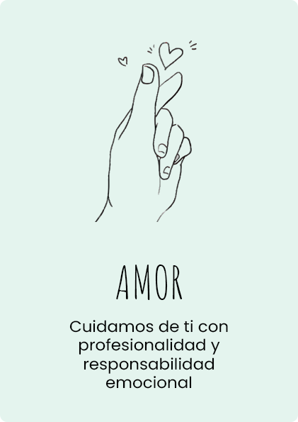 amor